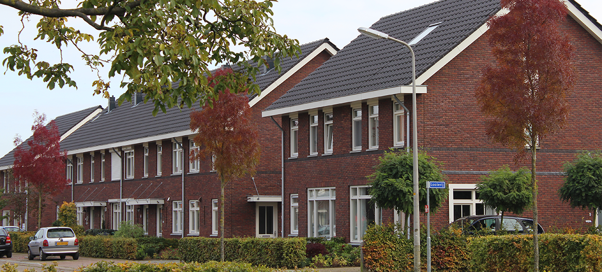 Op-de-bleek-in-beeld